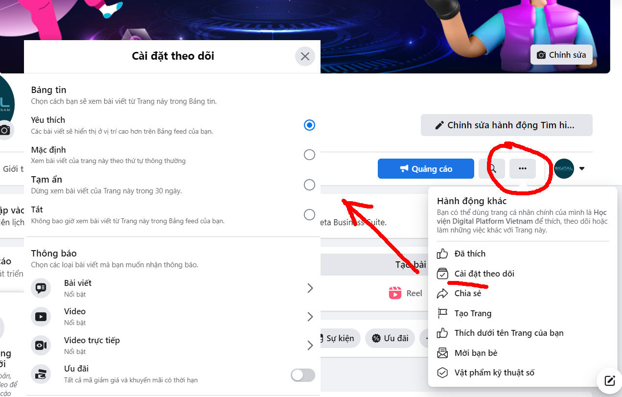 The role of Facebook likes and followers for individuals and businesses
